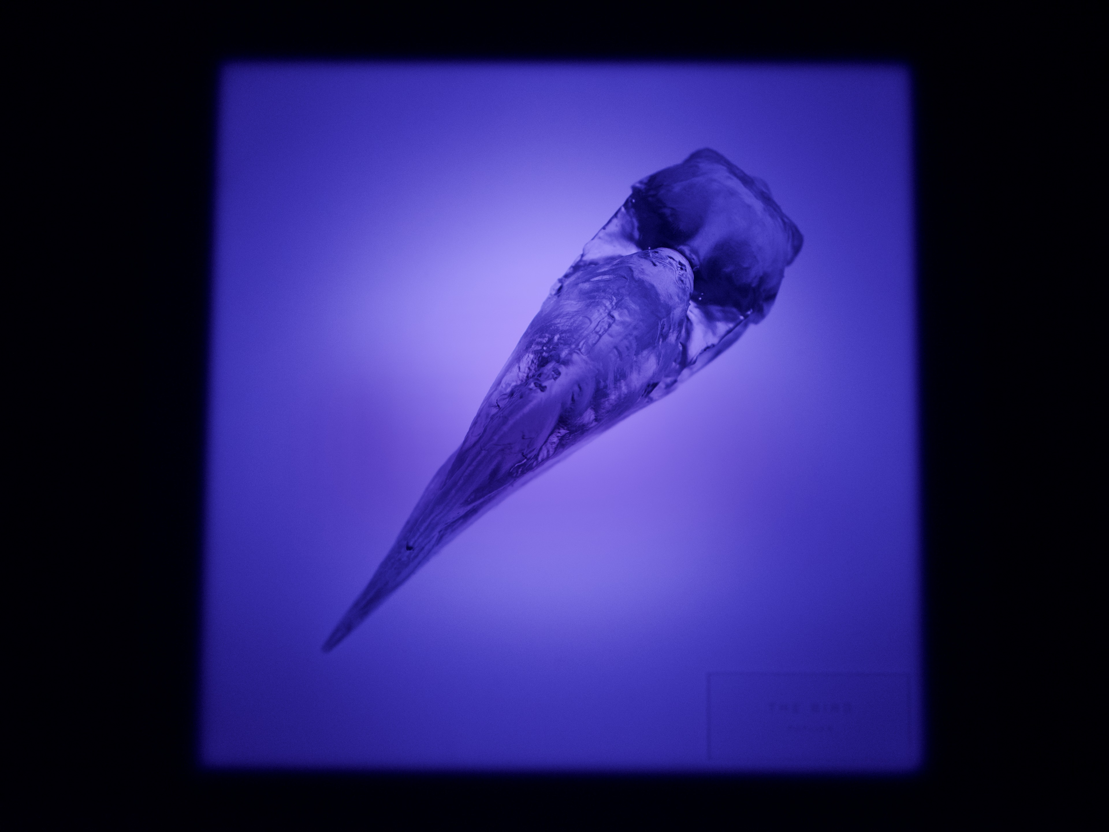 The Bird (Replica), 2026