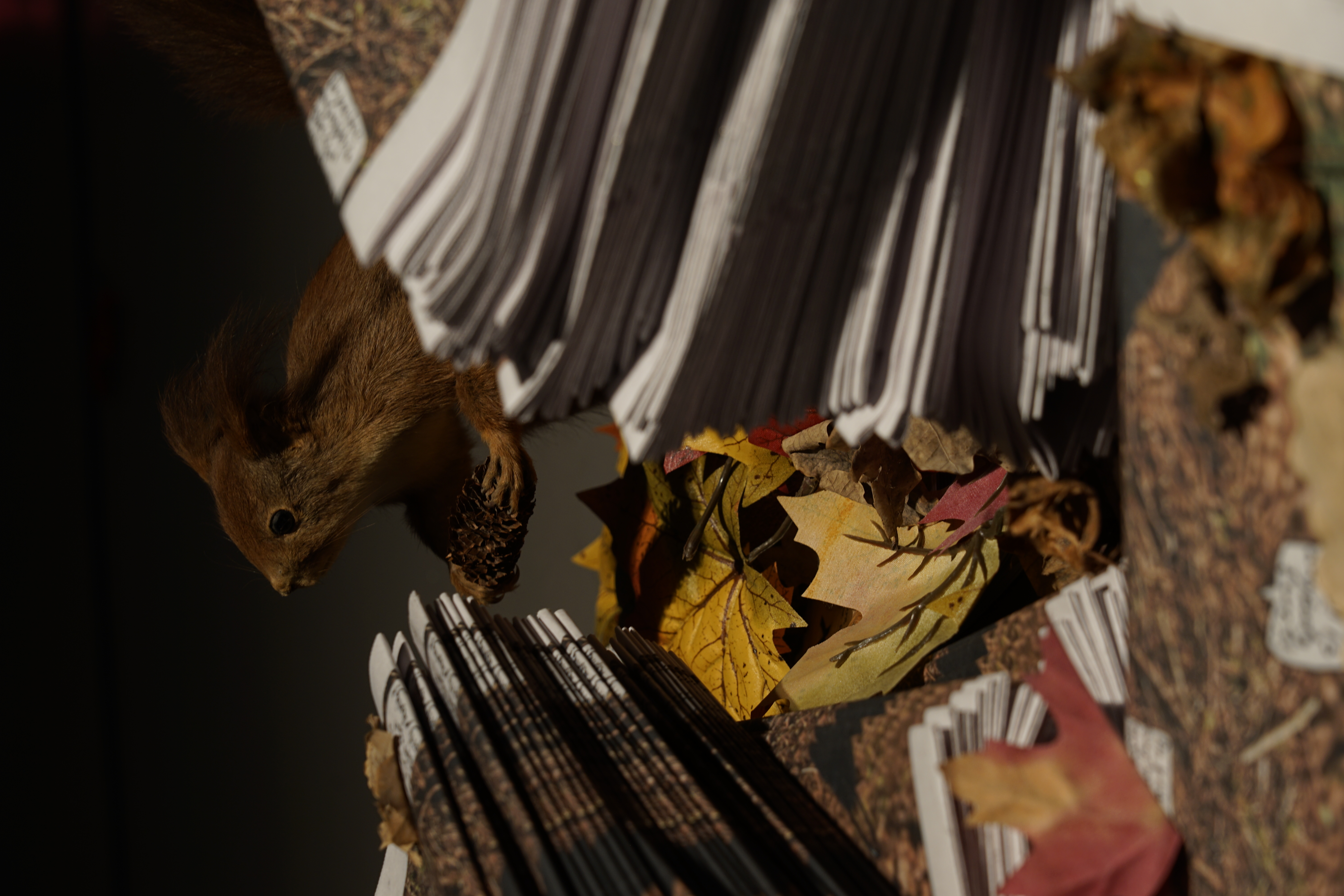 Public Retreat Explorer - A Newspaper