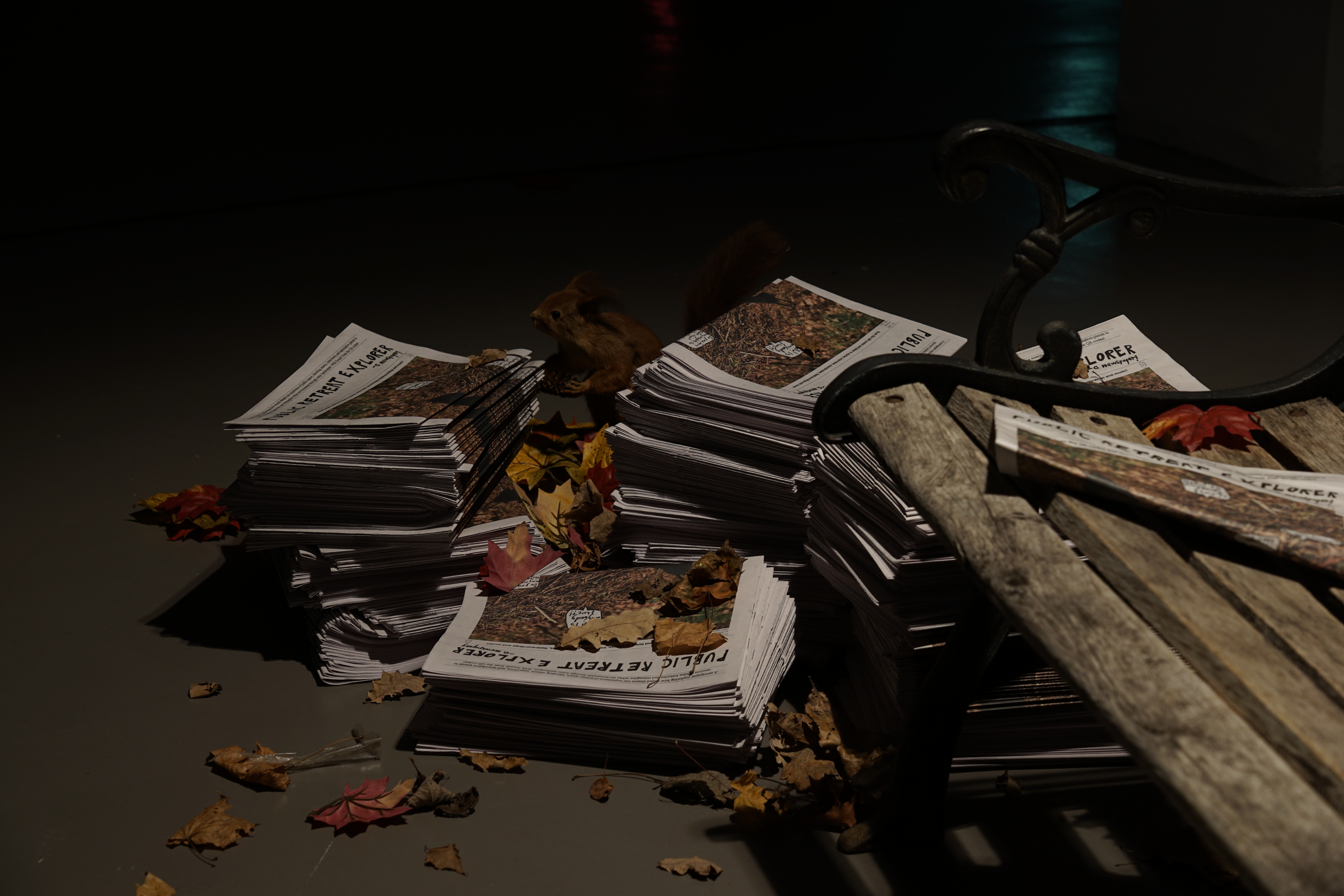 Public Retreat Explorer - A Newspaper