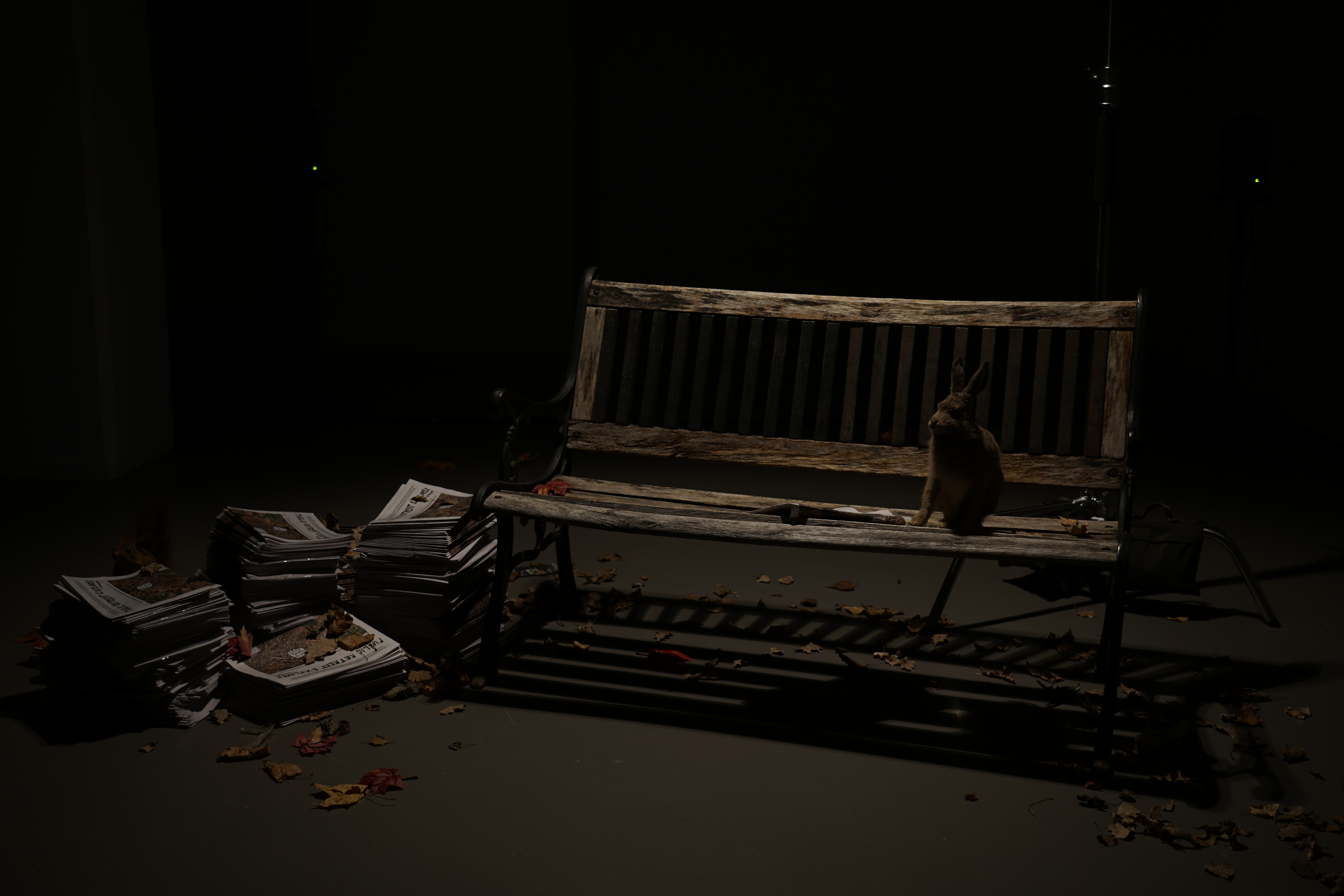 Public Retreat Explorer - A Newspaper