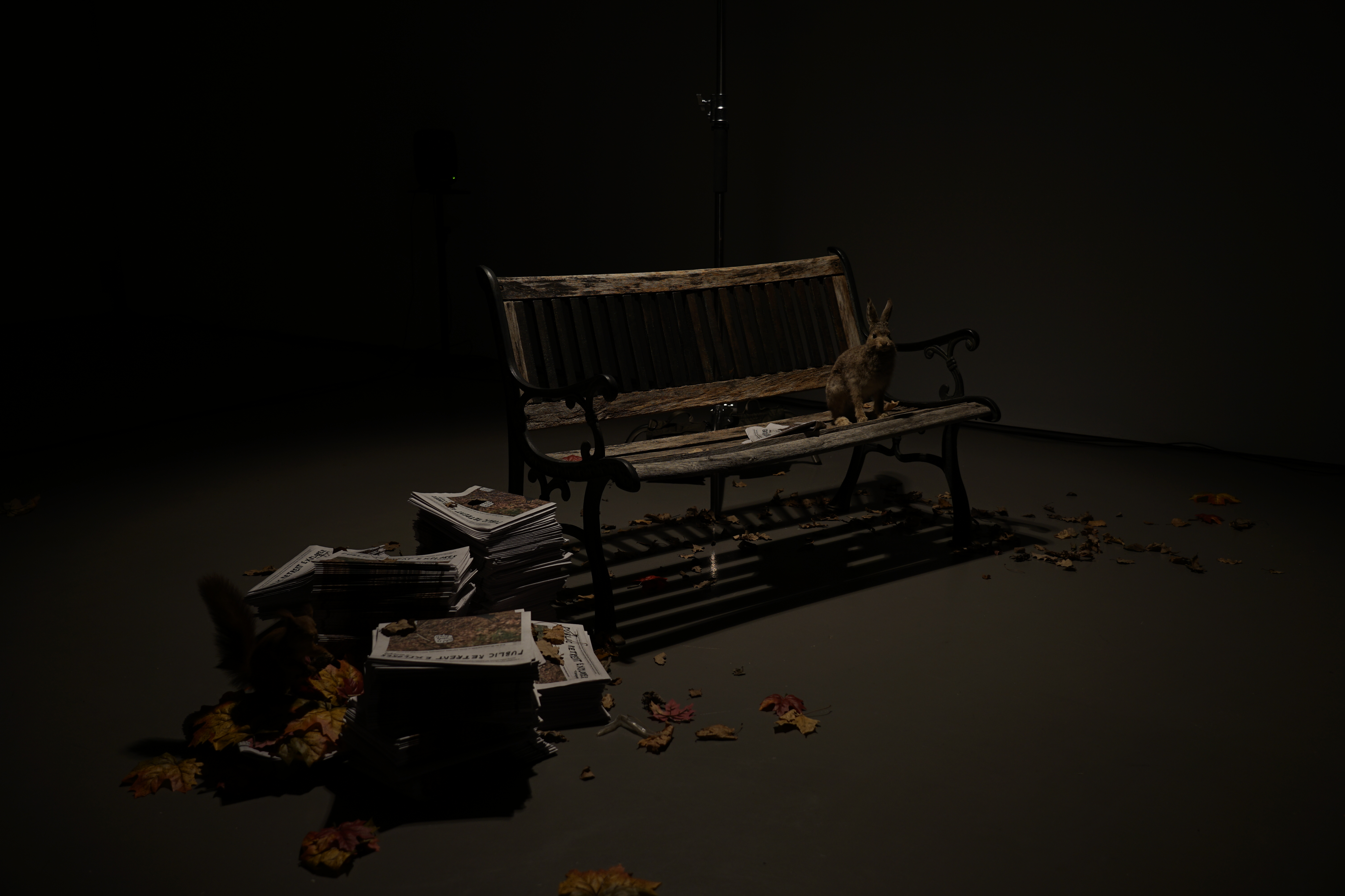 Public Retreat Explorer - A Newspaper