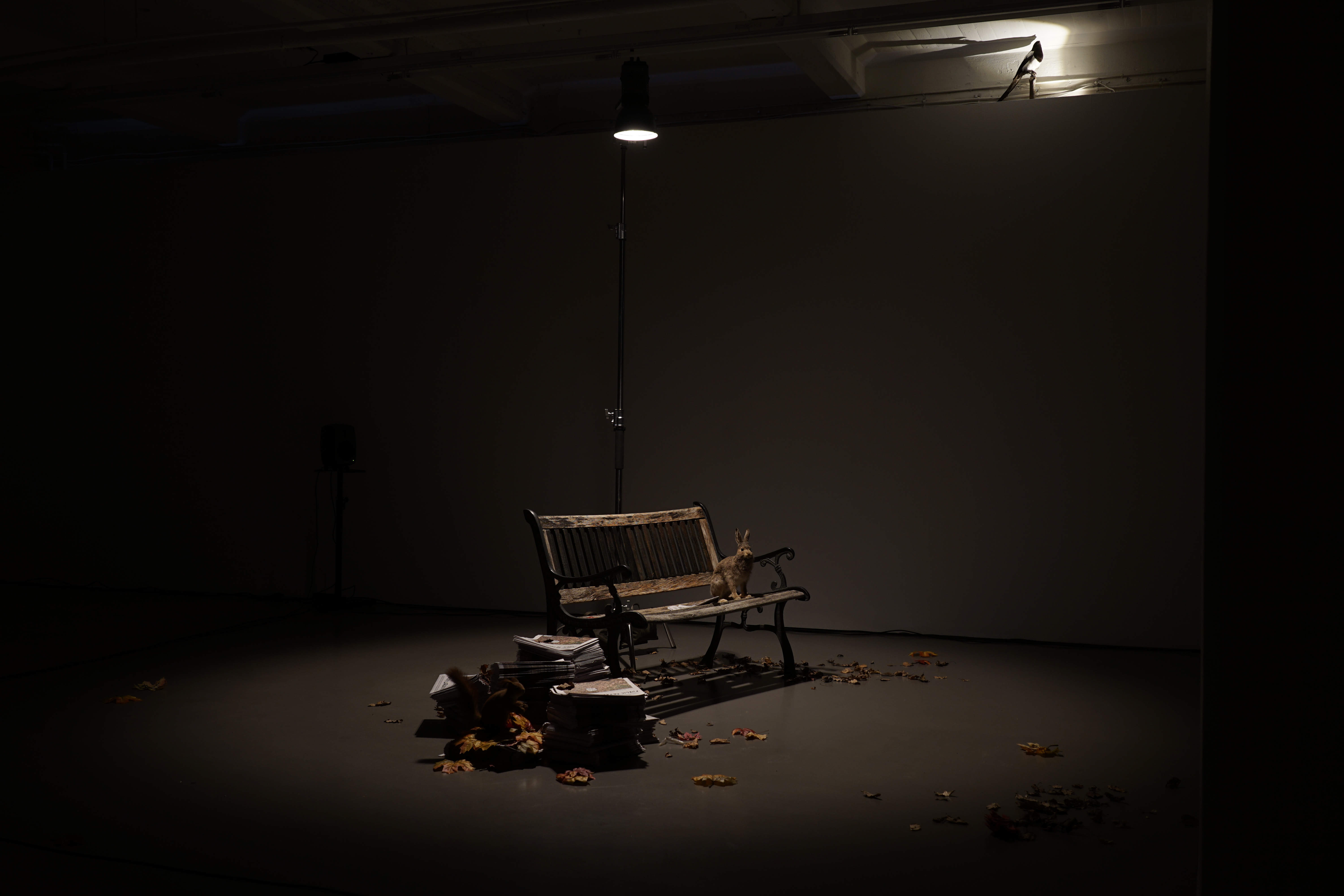 Public Retreat Explorer - A Newspaper