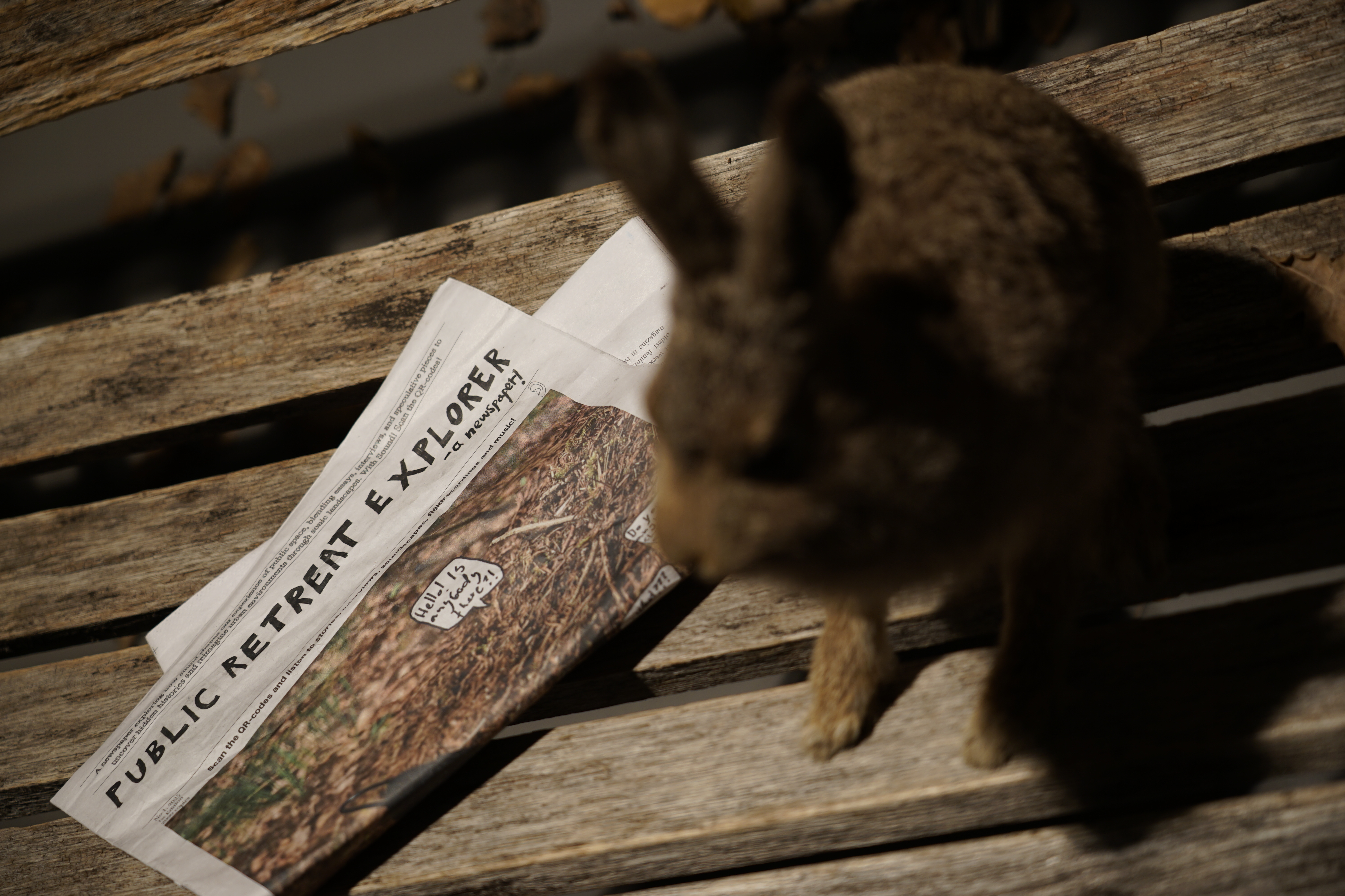 Public Retreat Explorer - A Newspaper
