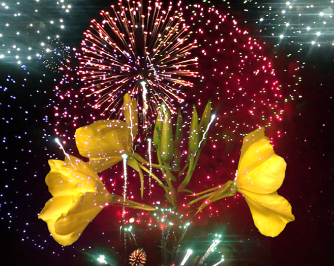 New Years Eve – GMT – 0:30