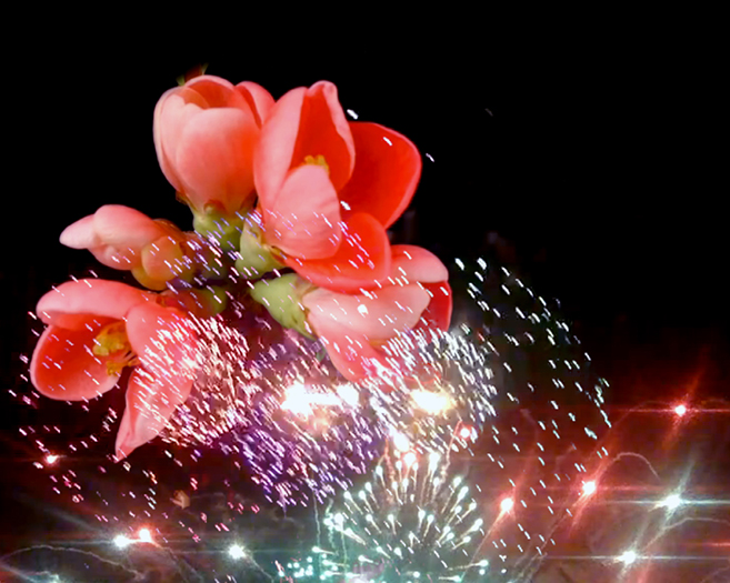 New Years Eve – GMT – 0:30