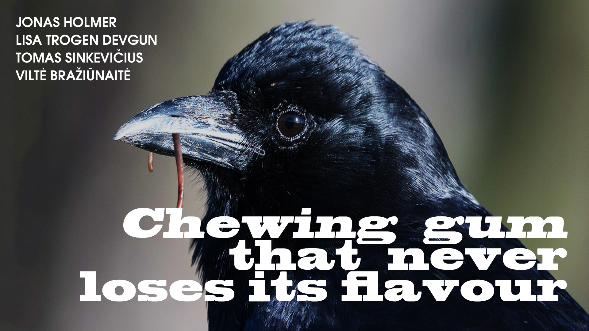 Chewing Gum That Never Loses Its Flavor